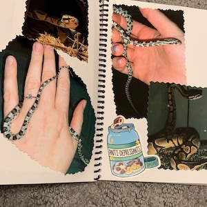 Shelby hat ein Foto des gekauften Artikels hinzugefügt