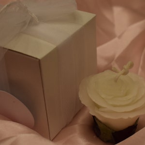 Lisa added a photo of their purchase