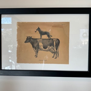 Summer added a photo of their purchase