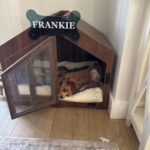 Sammy added a photo of their purchase