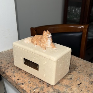 Jose added a photo of their purchase