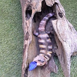 roger ha añadido una foto de su compra