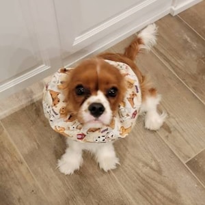 Lee added a photo of their purchase