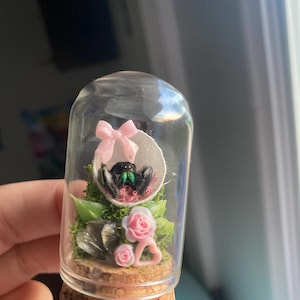 Dawn added a photo of their purchase