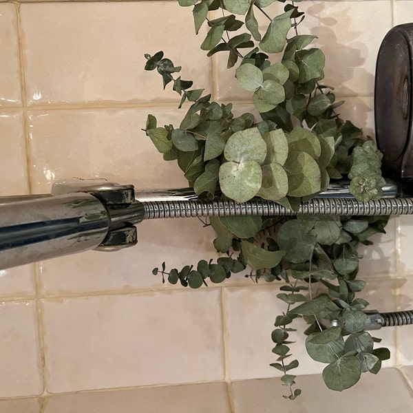 Shower Eucalyptus Bundle - Fresh Cut Eucalyptus - Etsy UK