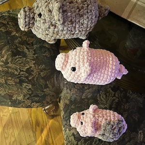 christina added a photo of their purchase
