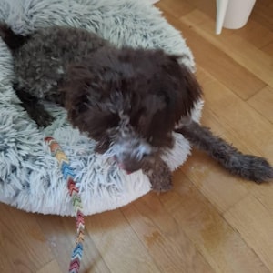 Manuela added a photo of their purchase