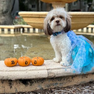 Elsa dog costume hotsell