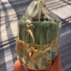 Lee added a photo of their purchase