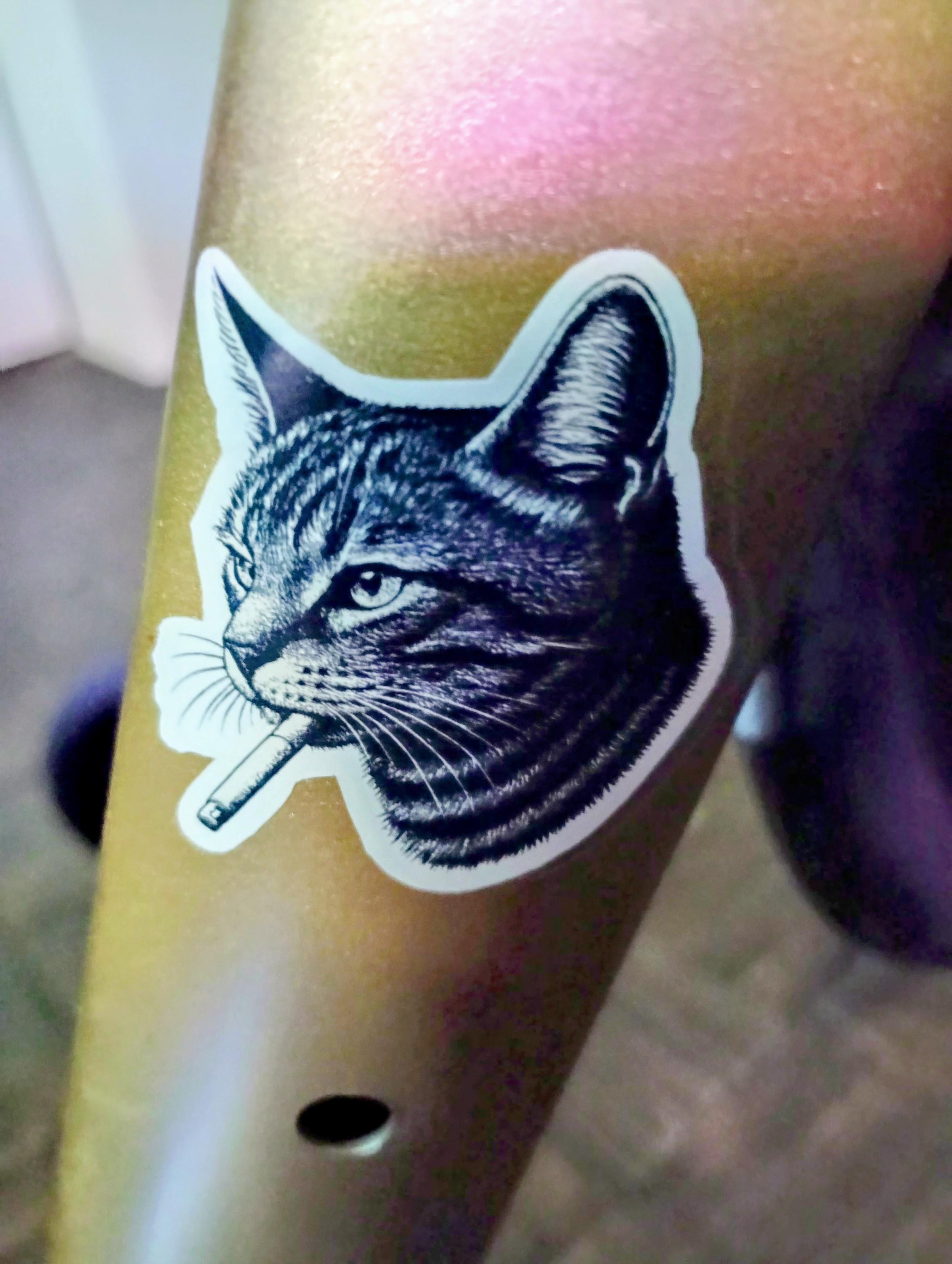 Customer photo of Smoking Cat Vinyl Sticker