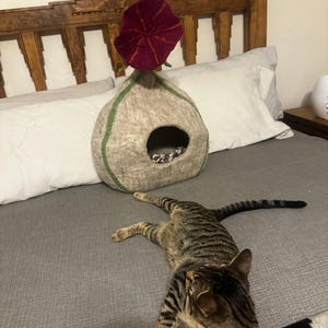 Shannon added a photo of their purchase