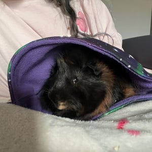 Mrs. added a photo of their purchase
