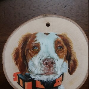 herrturn added a photo of their purchase