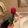 Reviewer's image