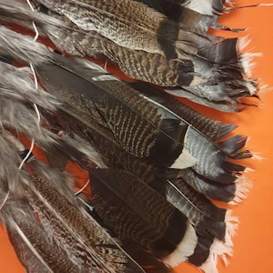 Markus added a photo of their purchase