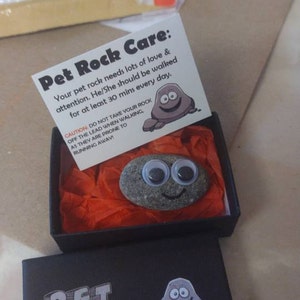 Pet Rock ® Funny Novelty Gift Ideas Ideal for Birthday Presents