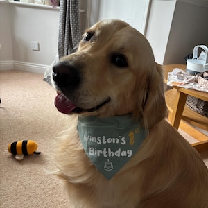 Niamh added a photo of their purchase