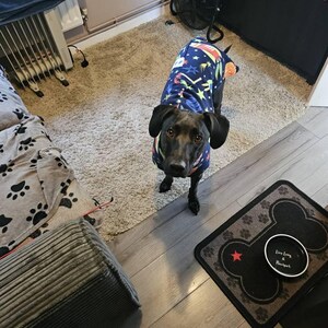 Gilly added a photo of their purchase