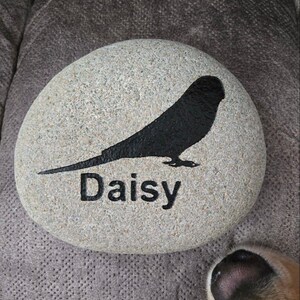 Rhonda ha añadido una foto de su compra