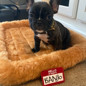 Jeni added a photo of their purchase