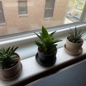 Essence Mini Planters Set of 3 | Indoor Small Succulent Planters