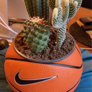 Deb ha añadido una foto de su compra