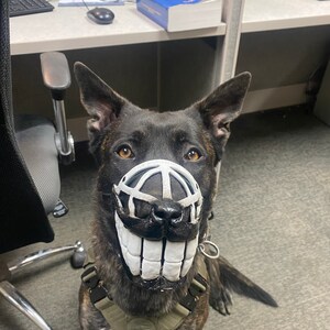 smiley face dog muzzle