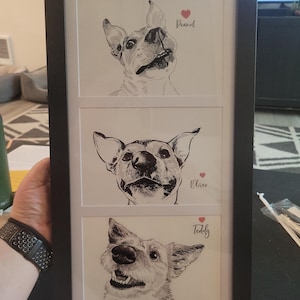 Jori added a photo of their purchase