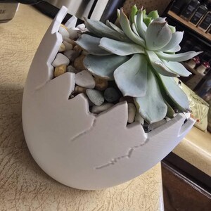 Erika added a photo of their purchase