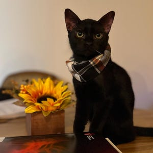 Justina added a photo of their purchase