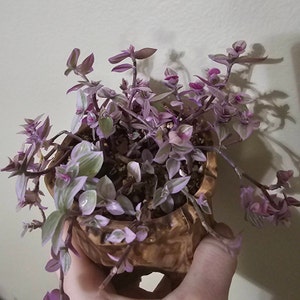 J added a photo of their purchase