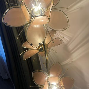 Shannon added a photo of their purchase