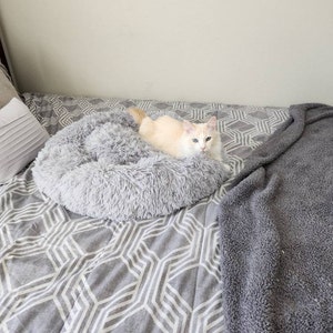 Bri hat ein Foto des gekauften Artikels hinzugefügt