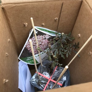 H ha añadido una foto de su compra