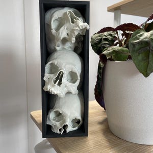 Sherry heeft een foto van de aankoop toegevoegd
