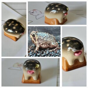 Angela added a photo of their purchase