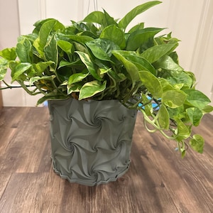 Barb added a photo of their purchase