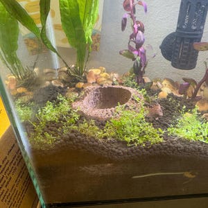 Robin added a photo of their purchase