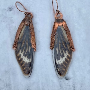 Deborah added a photo of their purchase