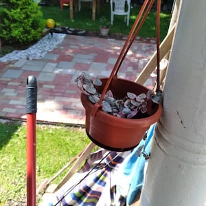 Debra added a photo of their purchase