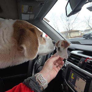Samantha added a photo of their purchase