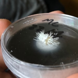 Andre added a photo of their purchase