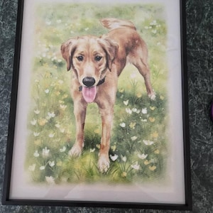 Hannah added a photo of their purchase