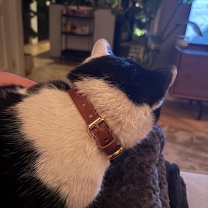 Tommy heeft een foto van de aankoop toegevoegd