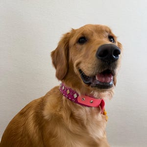 Rosie added a photo of their purchase