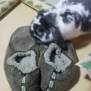 Ann added a photo of their purchase