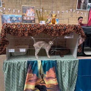Sondra added a photo of their purchase