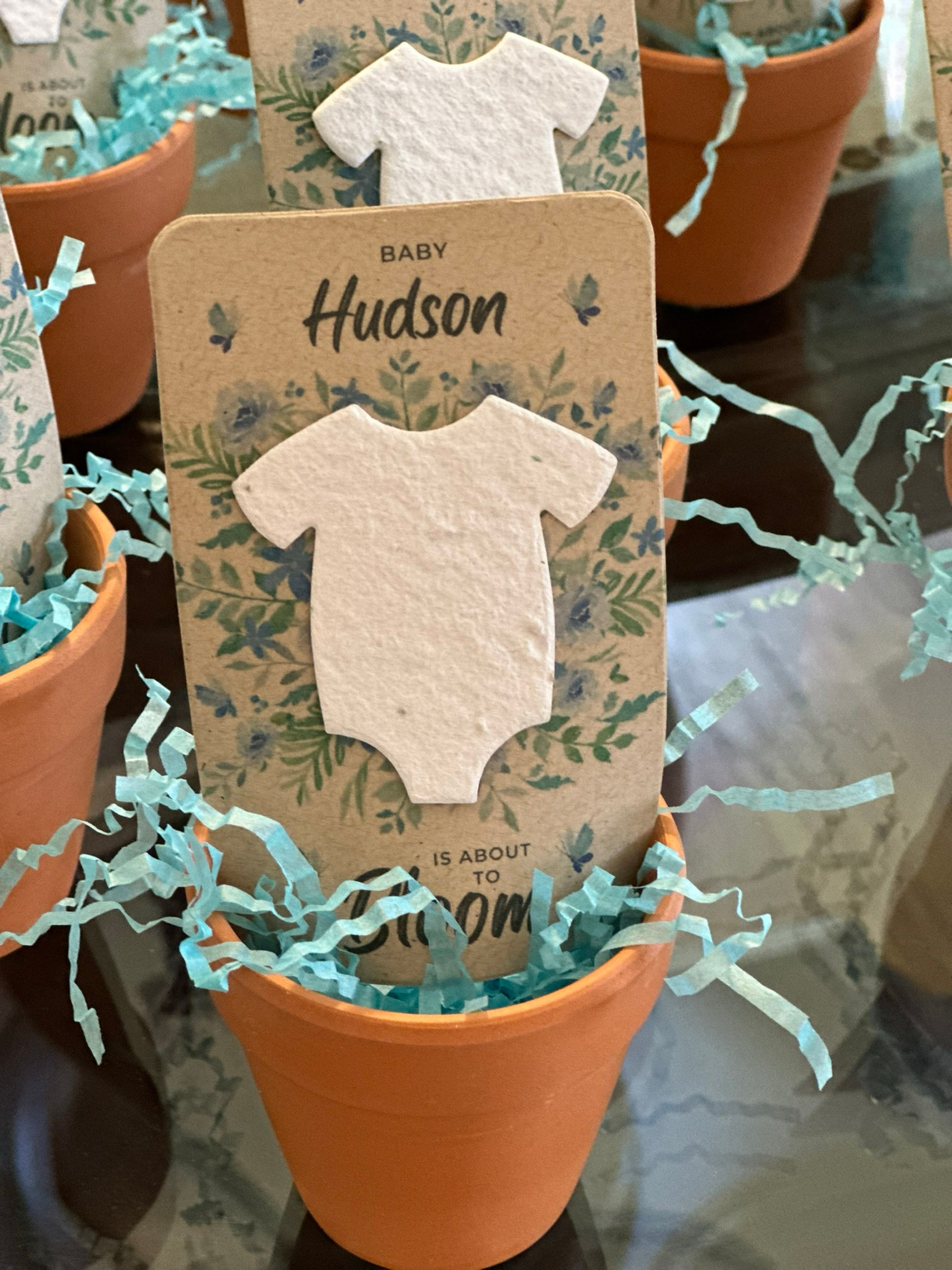 Baby In Bloom Baby Shower Favors For Guests - Wildflower Seed Packets Alternative - Good For Goodie Bags or Prizes