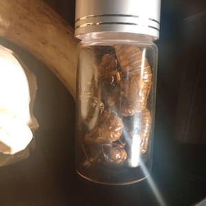 Oliver added a photo of their purchase