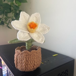 Lesly added a photo of their purchase